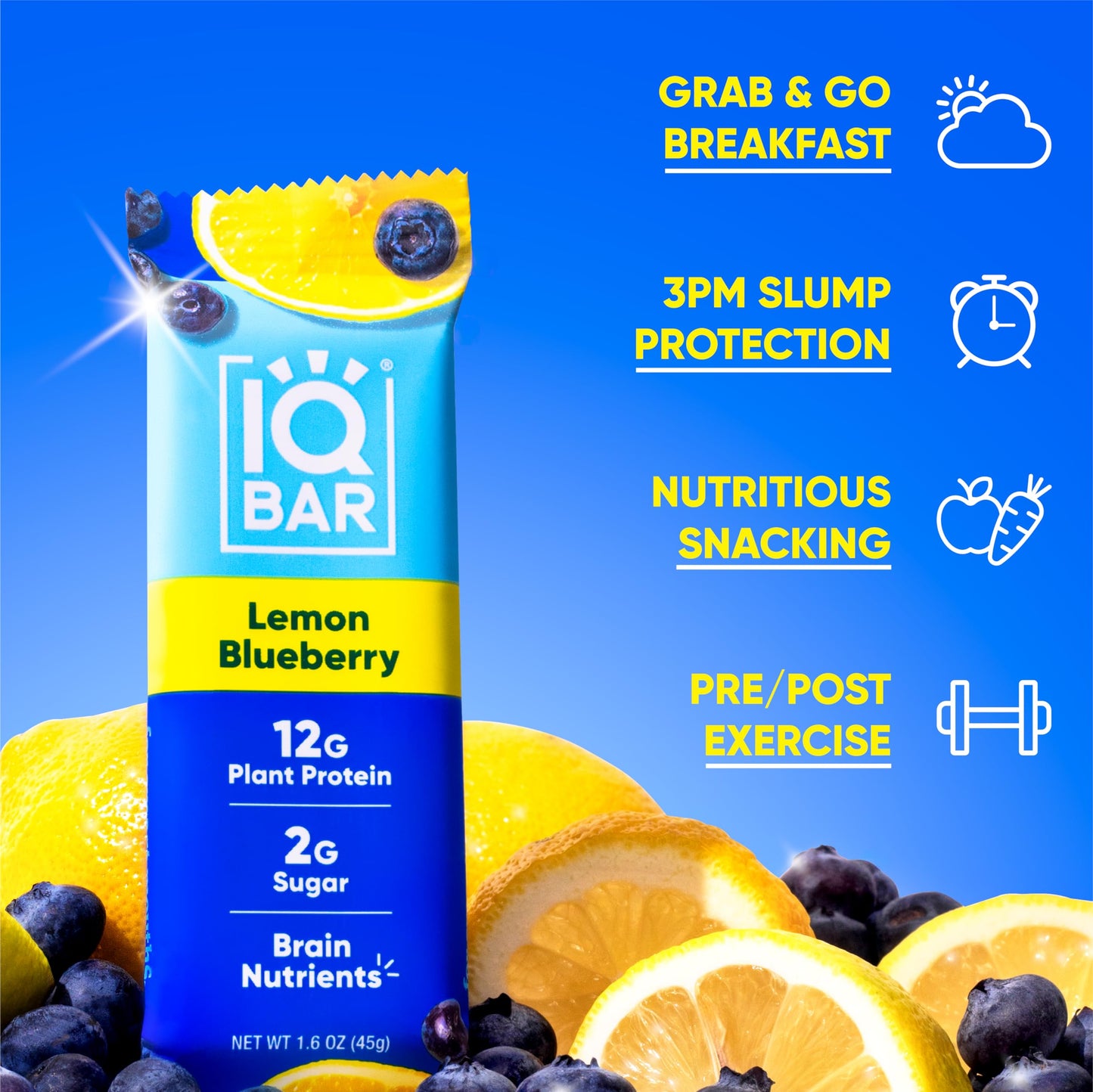 IQBAR Protein Bars - Peanut Butter Chip - 12 Count, Low Carb, High Fiber, Gluten Free, Vegan Snacks - Low Sugar Keto Energy Bars