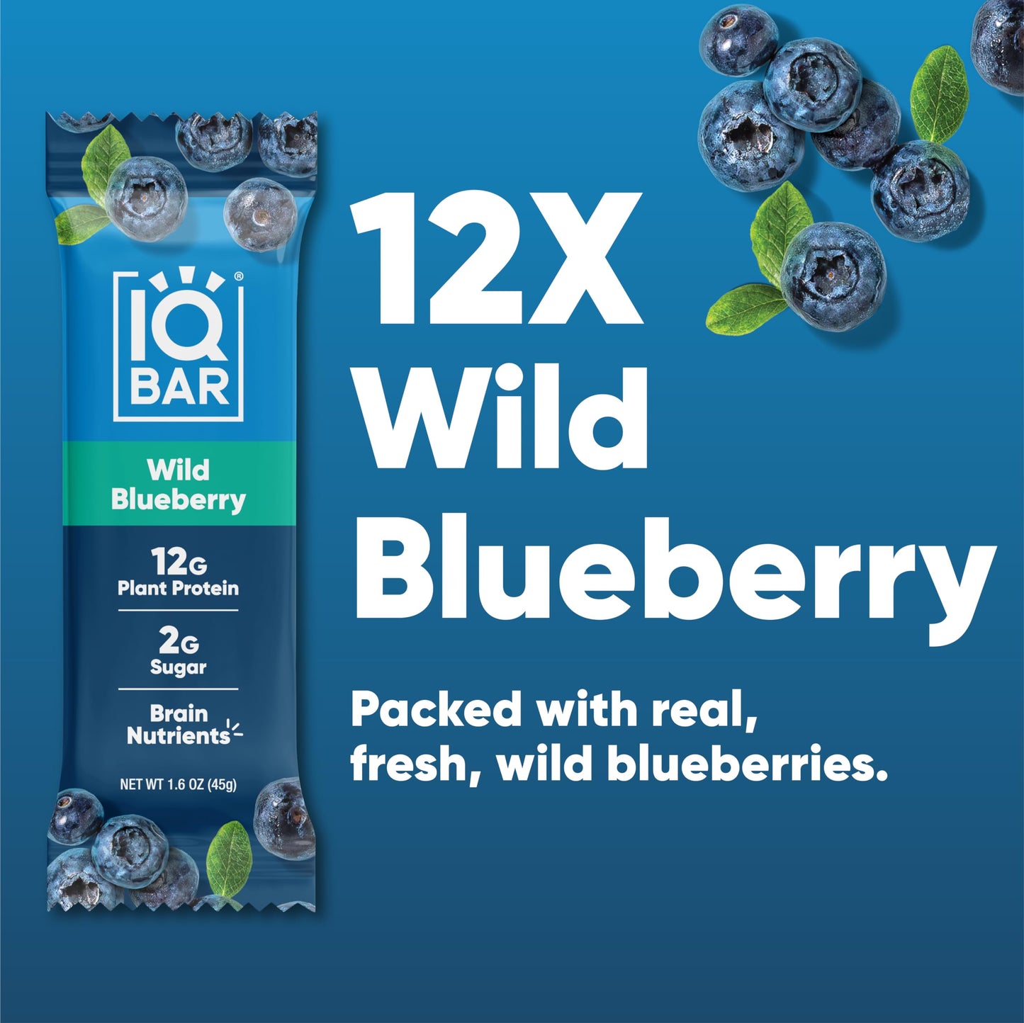 IQBAR Protein Bars - Peanut Butter Chip - 12 Count, Low Carb, High Fiber, Gluten Free, Vegan Snacks - Low Sugar Keto Energy Bars
